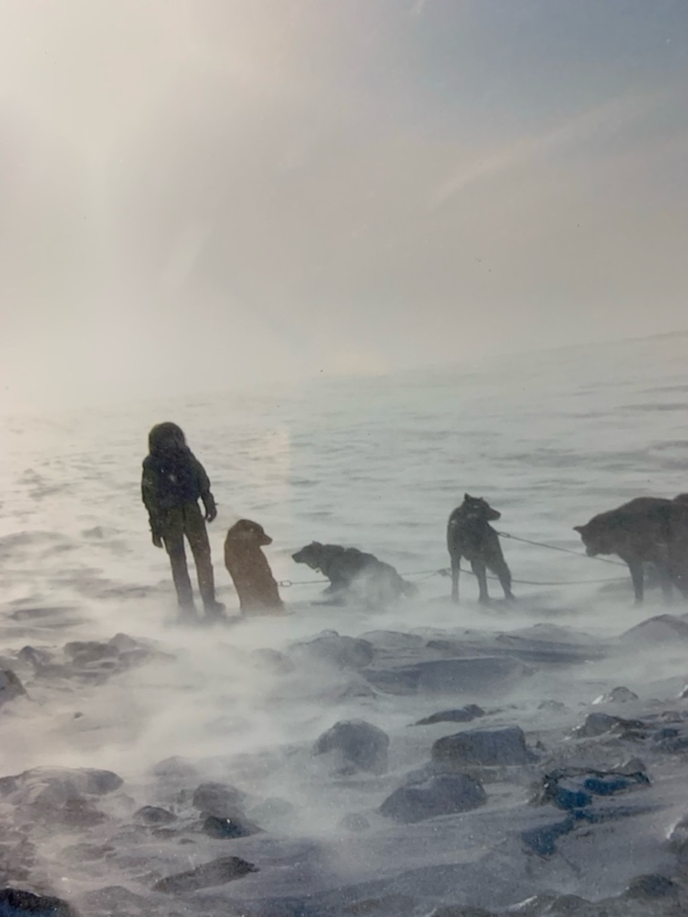Signed Limited Edition "Endurance" Arctic Sled Dogs Photo by U.S. Army Spc.